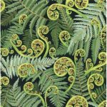 Koru Frond, 25cm cut WOF