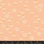 Honey Dahlia, Camomile floral on peach, 25cm cut WOF